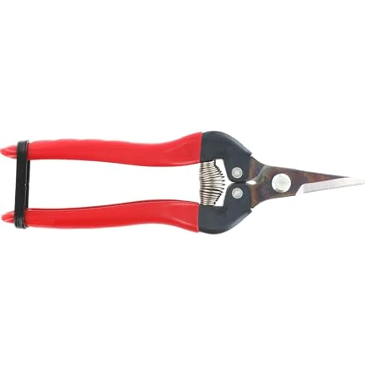 Ars 300SS, Traubenschere, 1228-00 mittelgroß 17,1 cm 100g Gartenschere Leseschere Ernteschere – Bild 2