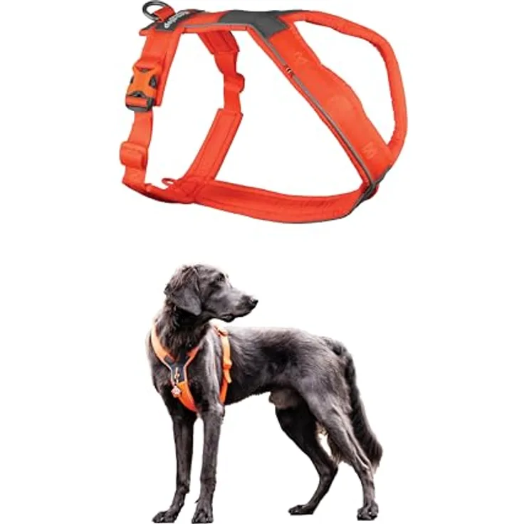 Non-stop dogwear Line Harness 5.0, Gepolstertes Hundegeschirr für kleine, mittlere und große Hunde, ergonomisch, reflektierend, Größe 8