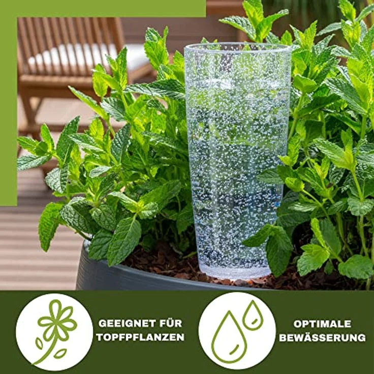 Copa M Bewässerung Wasserspender Bewässerungskugel transparent (4, Transparent) - Scheurich - Preisvergleich – Bild 3