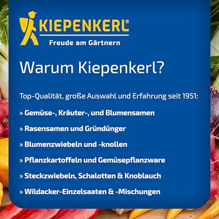 Kiepenkerl Kiepenkerl Keimsprossenbox Profi-Line - Preisvergleich – Bild 7