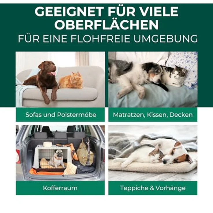 Silberkraft Flohspray für Umgebung, Insektenspray gegen Flöhe, Zecken & Milben, 2000 ml, Langzeitschutz, Made in Germany – Bild 3