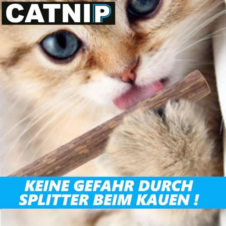 MAVURA Catnip Matatabi Kauhölzer 20 Sticks Katzen Holz Katzenminze, Dental Care Zähne Katzensticks – Bild 5
