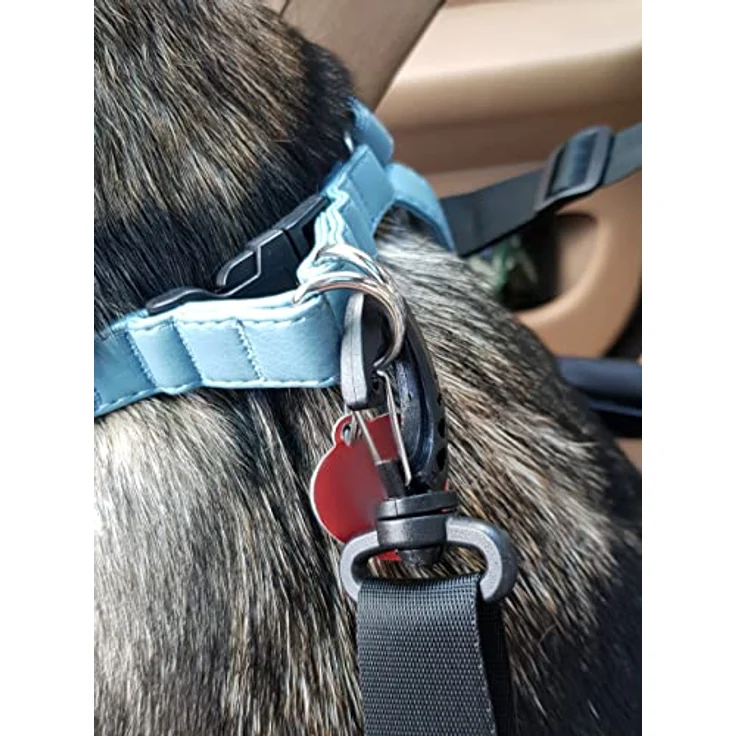 Purlov Hunde Autositz für kleine und mittlere Hunde Befestigungsgurtel Belüftungsnetz Verstärkt 40x40x32cm Wasserabweisend 20973, Schwarz – Bild 5