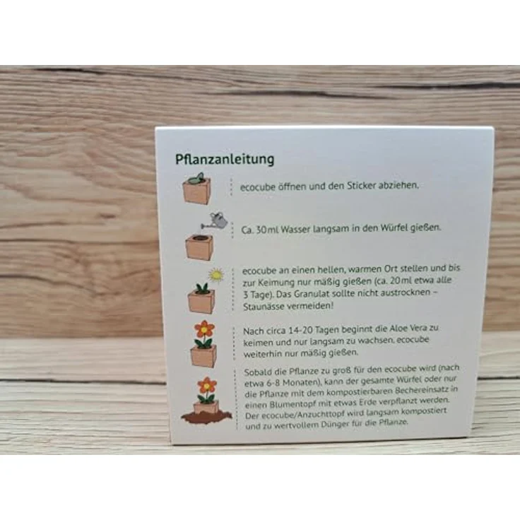 Feel Green Ecocube Aloe Vera Anzuchtset im Holzwürfel, Grow Your Own, Made in Austria – Bild 3