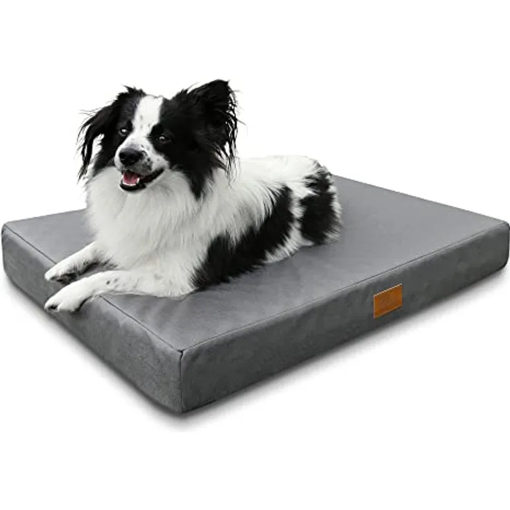 your GEAR Biella 100x70x10 cm orthopädisches Hundebett, Hundematte, Hundekissen, Oeko-TEX, waschbar