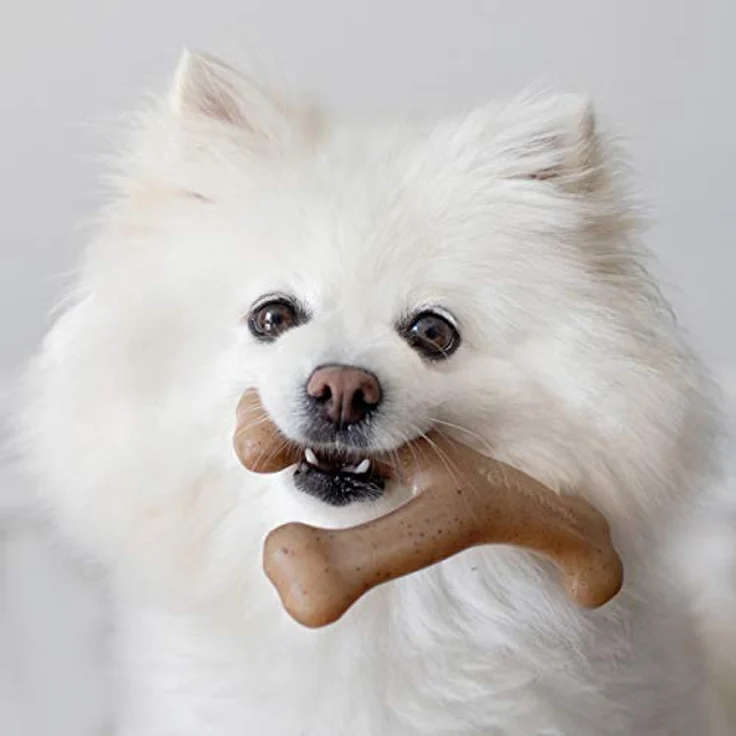 Benebone Wishbone Echter Speck Klein Langlebiges Hundekauspielzeug für Aggressive Kauer – Bild 5