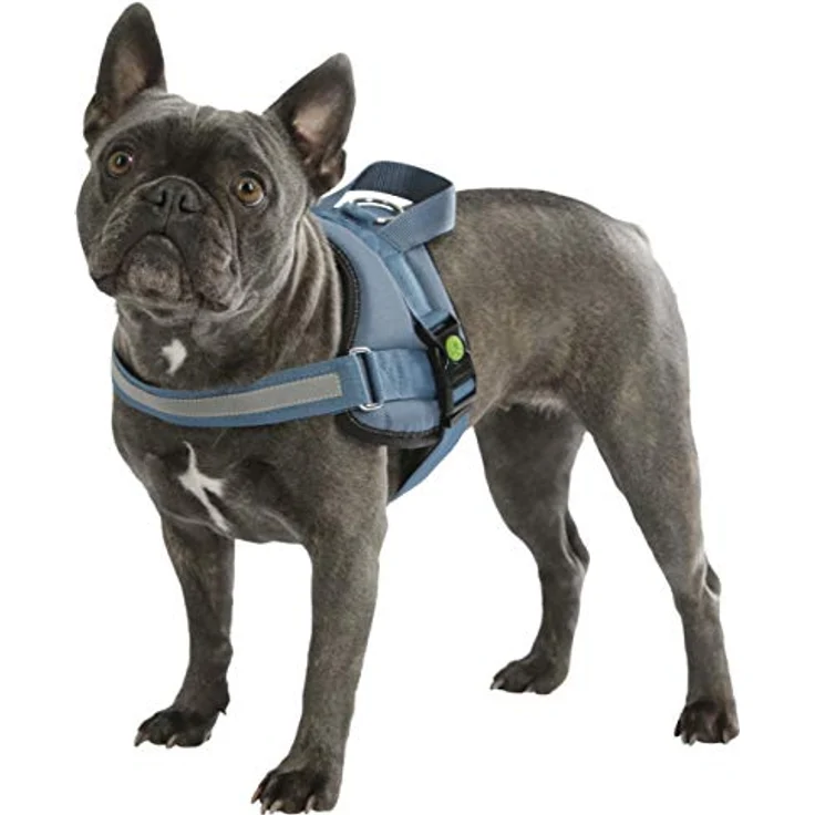 Kerbl Maxi-Pet 80212 Geschirr Maestro 2.0, mit Adresstube – Bild 3