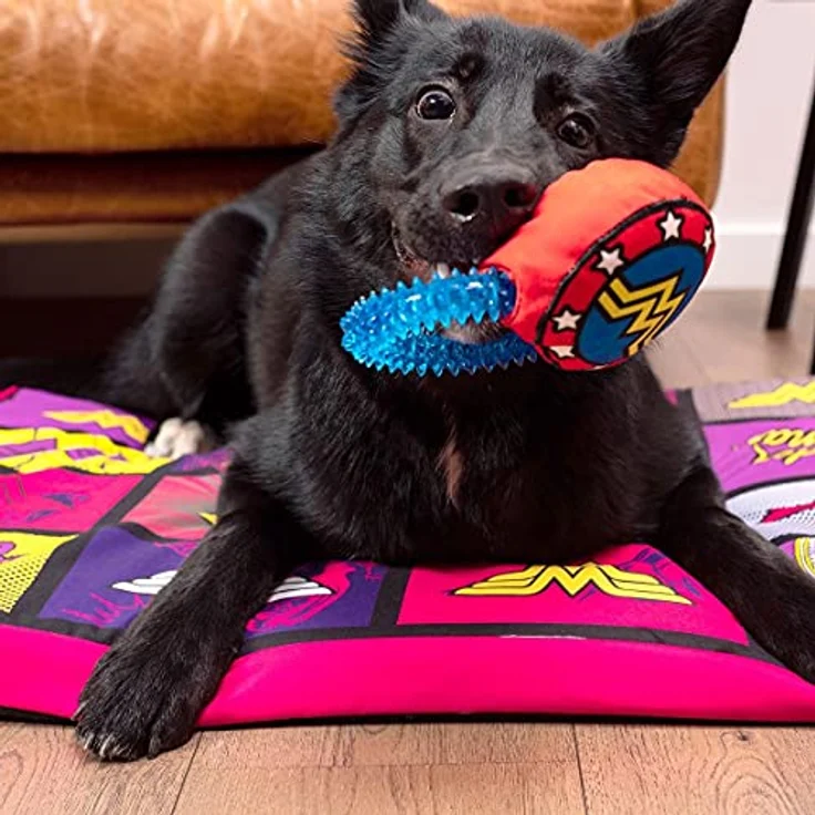 Cerdá - for Fan Pets | Wonder Woman Hundespielzeug - Offizielle DC Comics® Lizenz, interaktives Plüschspielzeug mit Quietscher, TPR-Gummiring, Zahngesundheit fördernd, 10 x 18,5 x 6 cm – Bild 3