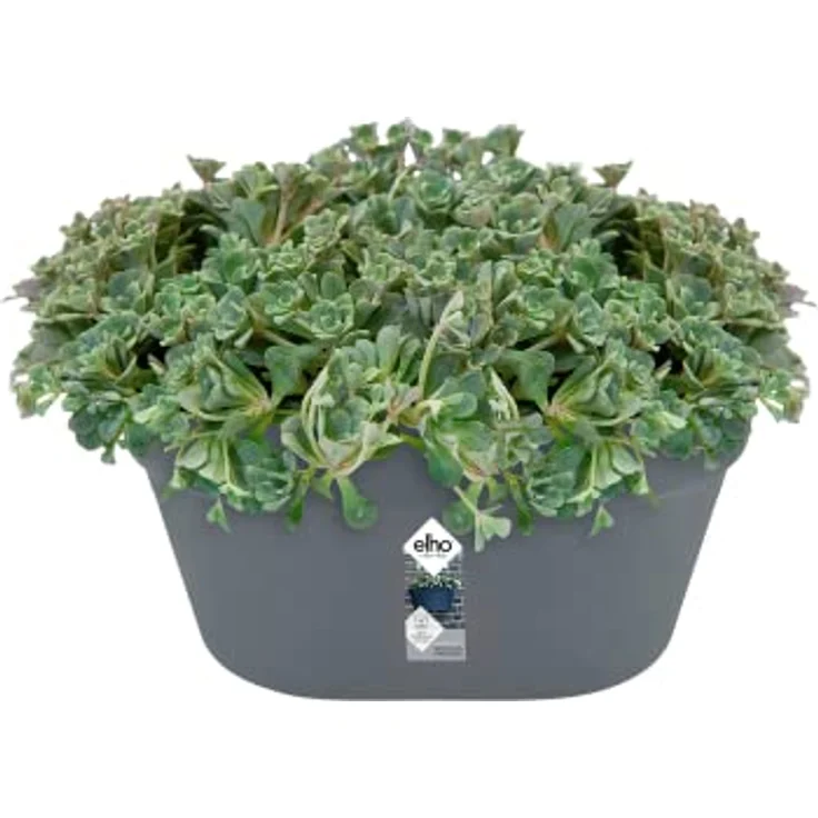 elho Loft Urban Wandampel 40 - Übertopf für Balkon & Außen - Ø 39.3 x H 18.8 cm - Schwarz/Anthrazit – Bild 3