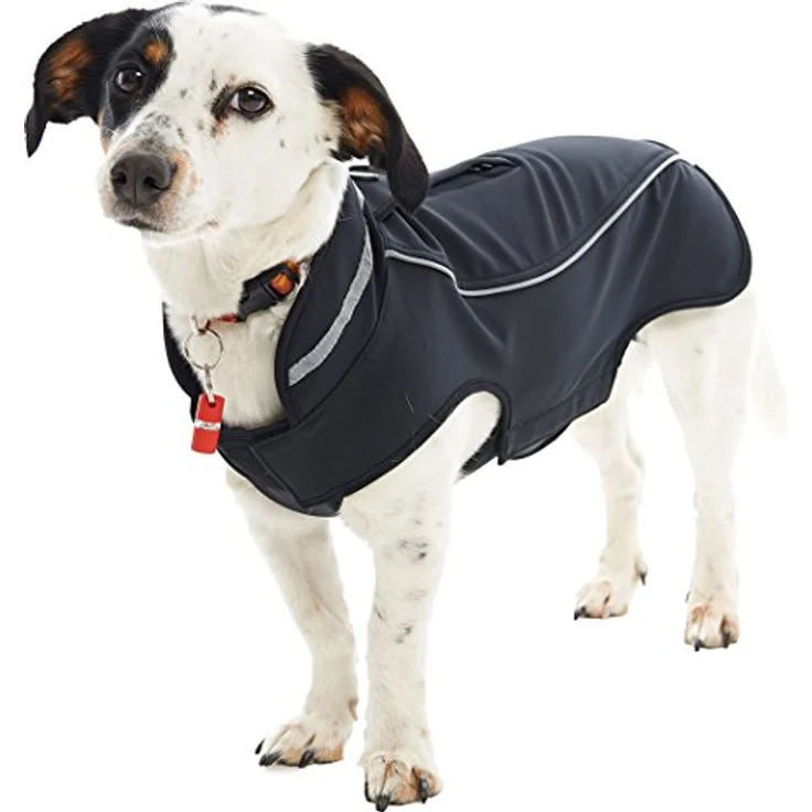 Buster Softshell – Bild 3