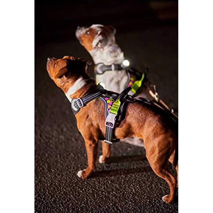 Hurtta Weekend Warrior Neon Hundegeschirr, Brustgeschirr für kleine Hunde, Neon Lakritze, 40-45 cm mit ergonomischem Design und langlebigen Schnellverschlüssen – Bild 5
