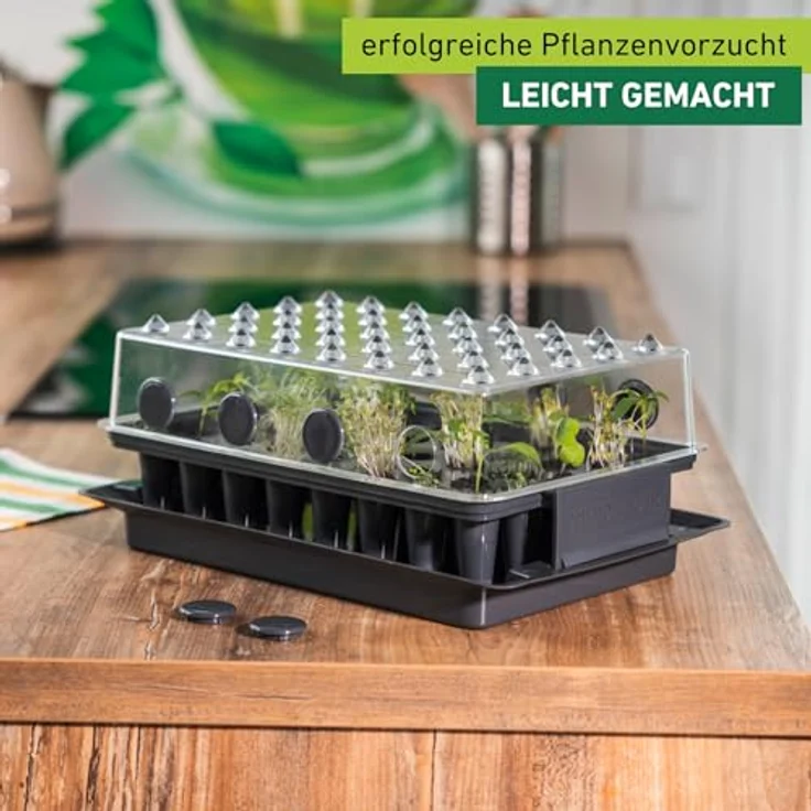 Windhager Anzucht-Gewächshaus RootXtender 3in1, eckig in schiefergrau, für bis zu 40 Pflanzen, mit konischen Pflanzlöchern zur Wurzelbildung, 39 x 25 x 13 cm – Bild 2