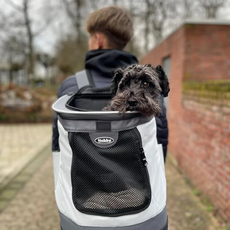 Nobby Rucksack "PLATA" grau 34 x 30 x 43 cm – Bild 3