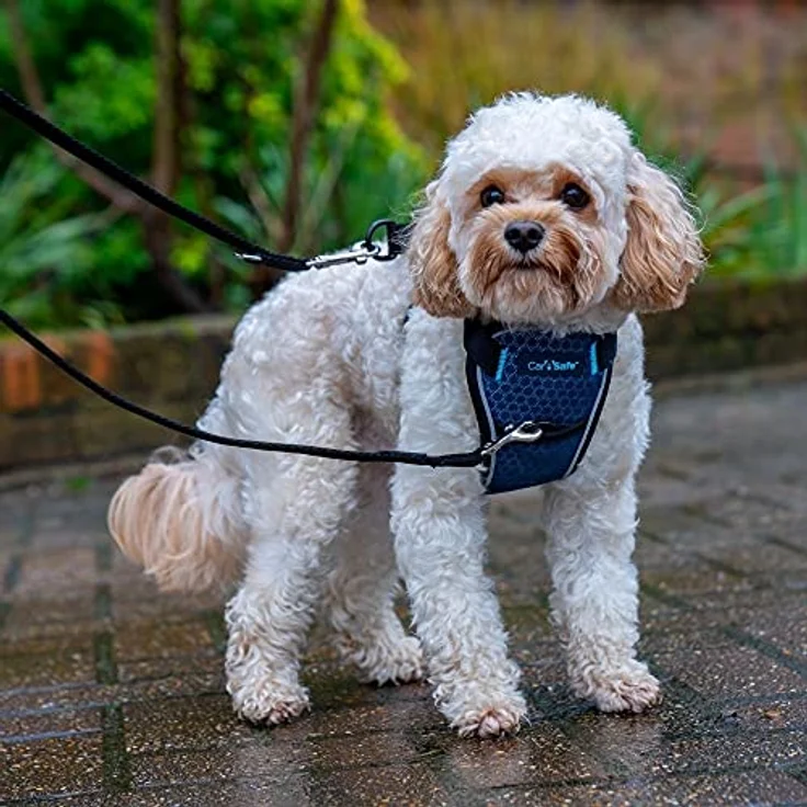 Company of Animals CarSafe Crash-getestetes Hunde Sicherheitsgeschirr, für kleine Hunde (Größe XS), bis 32 kg, gepolstertes Design, reflektierendes Brustteil – Bild 3