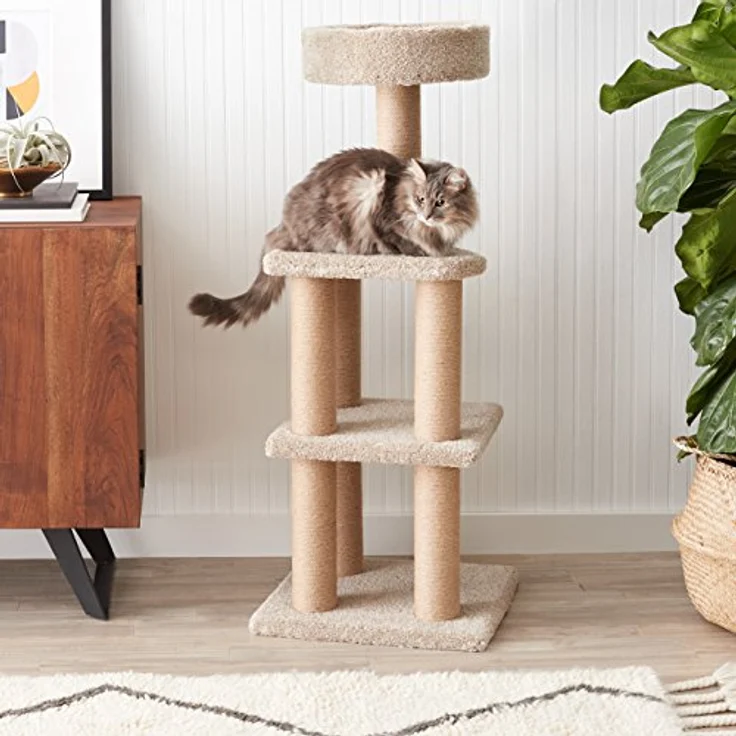 Amazon Basics Spielstation und Kratzbaum für Katzen - Large – Bild 2