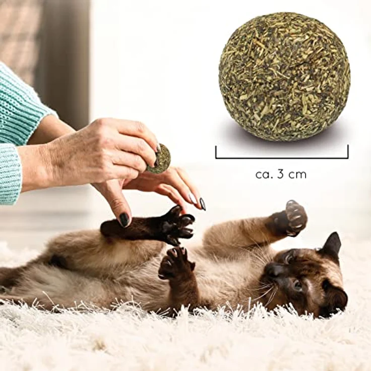 KaraLuna 3X Katzenminze Ball I Katzenminze Spielzeug aus 100% natürlicher Katzenminze getrocknet & gepresst I Katzenspielzeug Katzen Spielzeug Catnip Balls Katze Beschäftigung Fun Ball Katzen – Bild 4