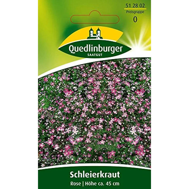 QUEDLINBURGER Schleierkraut, Rose – Bild 2