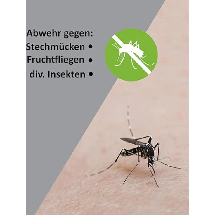 ISOTRONIC Wespenwedler Fliegenwedler mit Flaschenaufsatz I Fliegenabwehr I Fliegenvertreiber I Insektenschutz Lebensmittel I Fliegenklatsche 2.0 I gegen Fliegen Wespen (2) – Bild 5