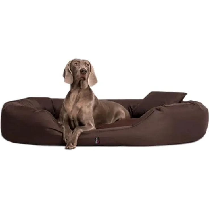 tierlando® Orthopädisches Hundebett Sammy - Robuster Polyester - Gr. L-XXXXL, waschbar, Braun