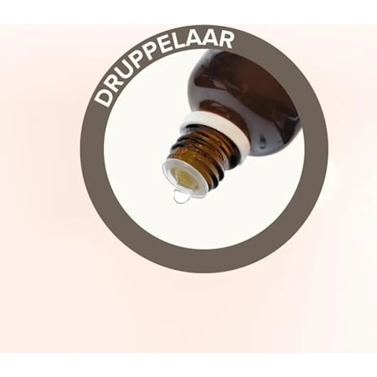 Zolux Mac-Oda 20 mm (Hund, Hundesport), Halsband + Leine – Bild 3