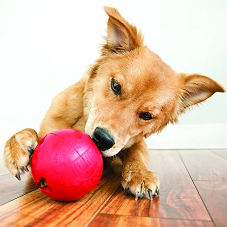 Kong Kong-Ball 15500, 10 cm rot – Bild 2