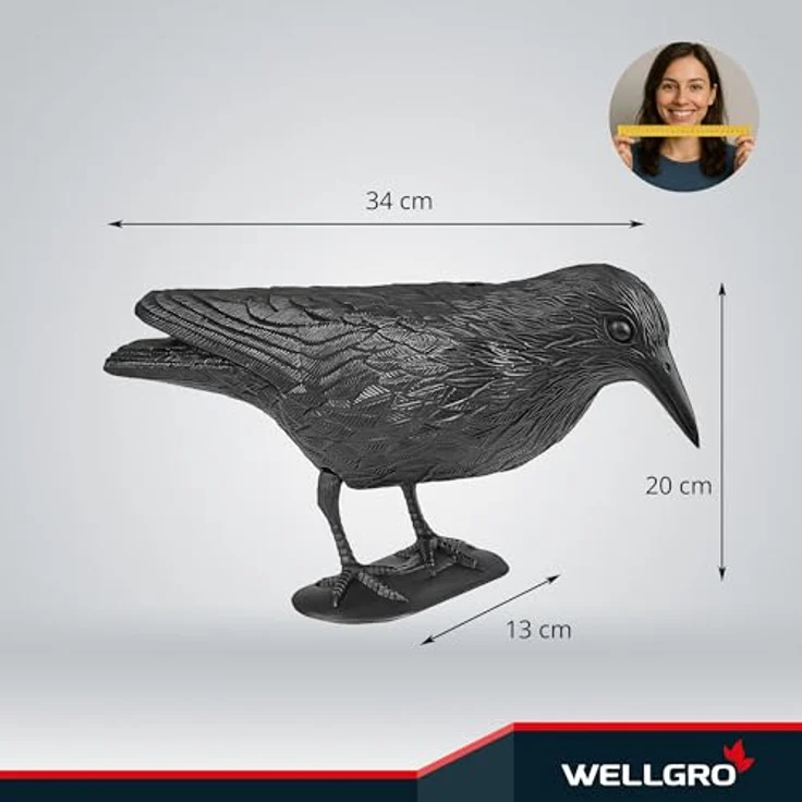 WELLGRO 5X Vogelschreck Krähe, Raben Attrappe zur Vogel- und Taubenabwehr, 1x fliegend und 4x sitzend, schwarz, wetterfest und langlebig aus Kunststoff für Balkon & Garten – Bild 2