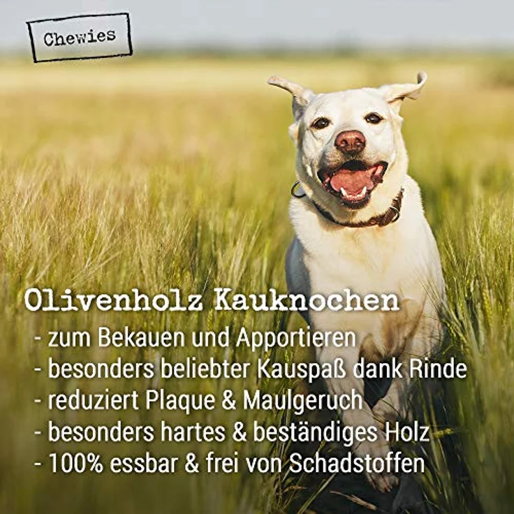 Chewies Kauknochen Hunde-Spielzeug aus Olivenholz für Hunde - 100 % natürliches Hundezubehör risikoarm & langlebig - Größe M: Für Hunde bis 20 kg Körpergewicht – Bild 3