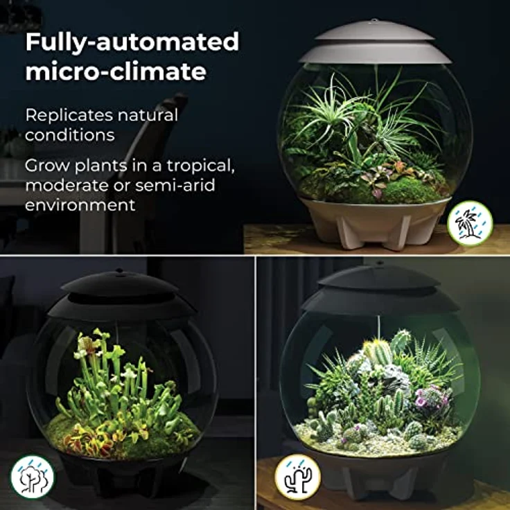 biOrb AIR 30, automatisches Terrarium in grau mit energieeffizienter LED-Beleuchtung und automatischer Pflege für exotische Pflanzen – Bild 5