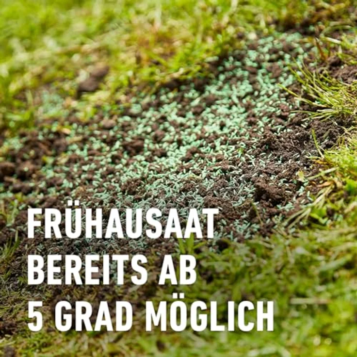 COMPO SAAT® Nachsaat-Rasen 2 kg für 100 m² – Bild 5