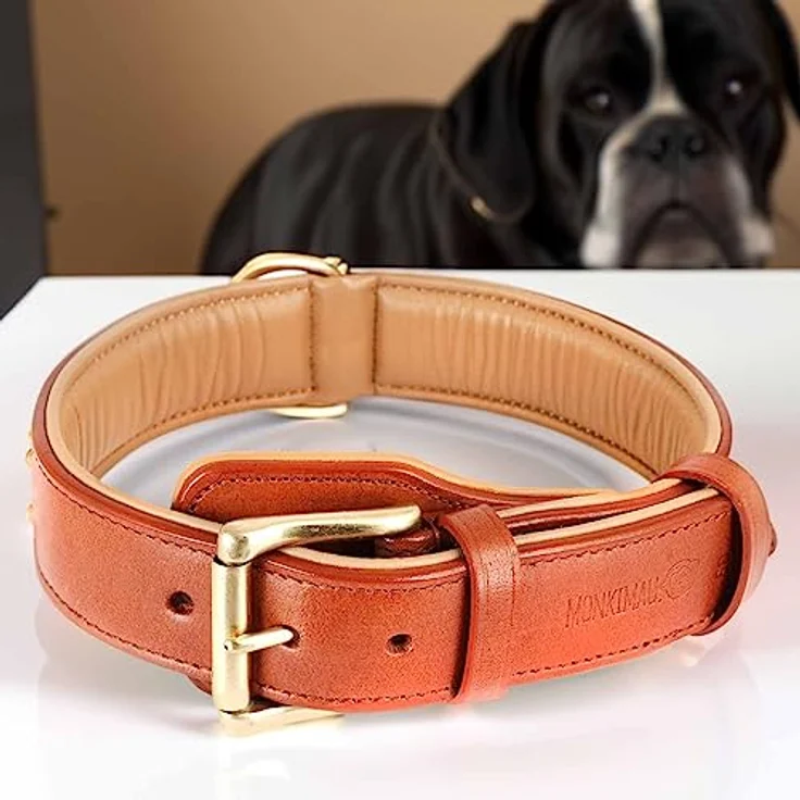 Monkimau Hundehalsband - Halsband für Hunde aus Leder mit Nieten gepolstert verstellbar (XS-S: 25mm x 40cm) – Bild 3