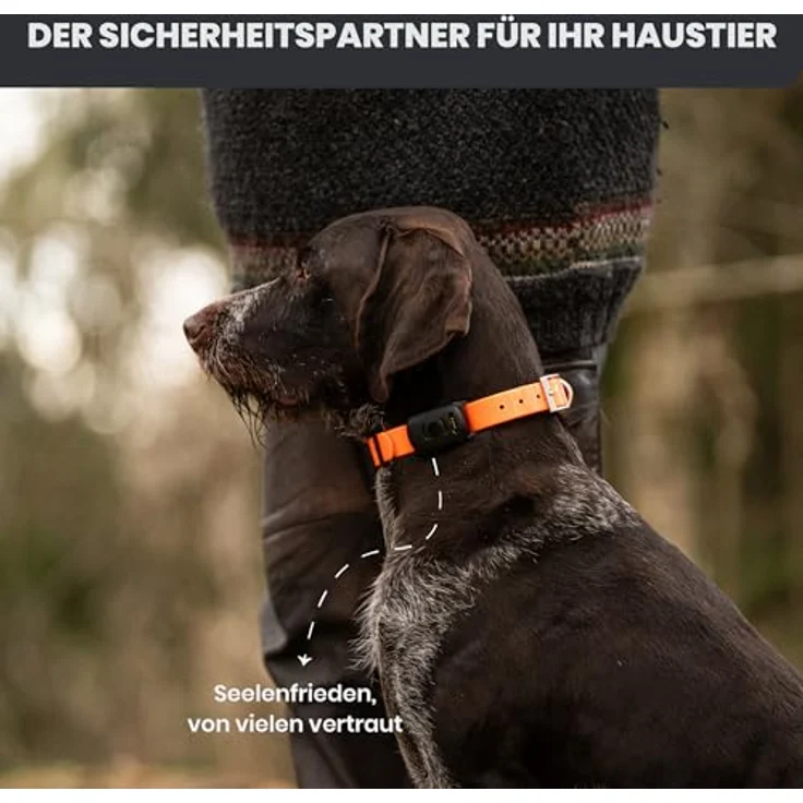 Atto Pro GPS-Tracker für Hunde & Katzen mit 4G, Echtzeit-Tracking, Fluchtalarm & unbegrenzter Reichweite – wasserdicht, mini – Bild 7