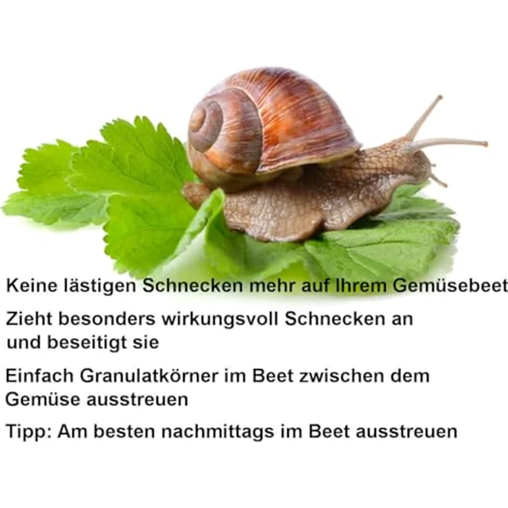 REINEX Schneckenstopp 1,5kg, Granulat zur Bekämpfung von Schadschnecken, regen- und windfest, für ökologischen Anbau geeignet – Bild 2