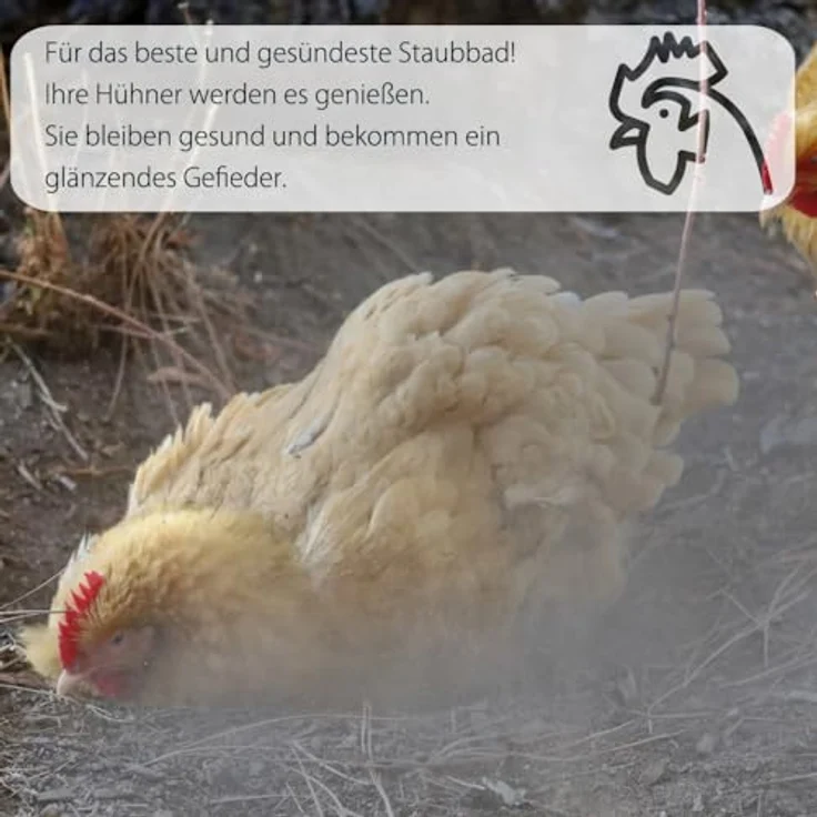 Petigi GeflügelHerz, 100% natürlicher Milbenschutz-Pulver für Hühner, 25kg Staubbad & Einstreuoptimierung – Bild 3