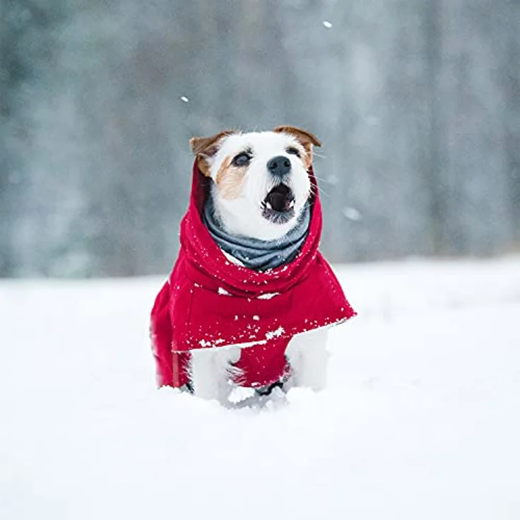 Hurtta Extreme Warmer Hundemantel, Winterjacke für Hunde Weinrot 30 cm – Bild 4