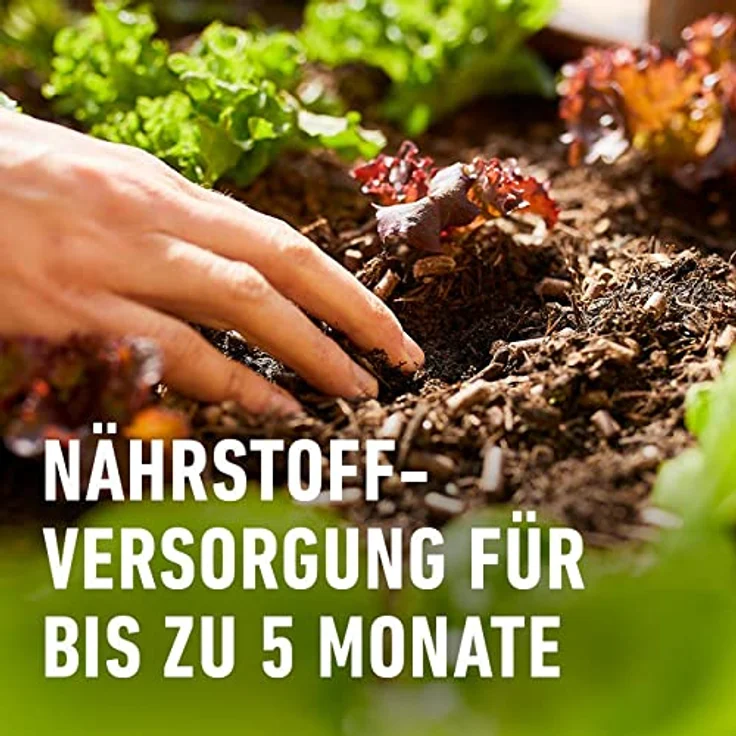 Compo BIO Universal Langzeit-Dünger mit Schafwolle, 2 kg – Bild 3