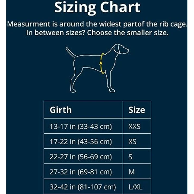 Ruffwear Hunde-Geschirr Load Up™ 30602-413, Autosicherheitsgeschirr in Slate Blue – Bild 6