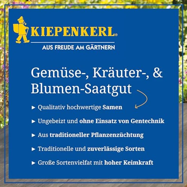 Kiepenkerl Zucchini Courcourcelle von Tripolis – Bild 6