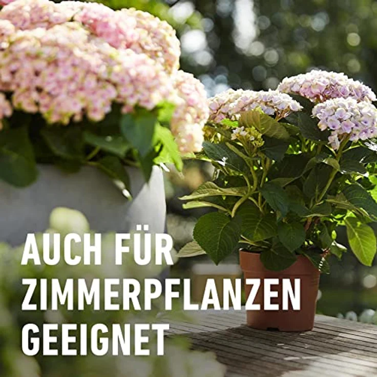Compo Qualitäts-Blumendünger 1 Liter – Bild 5