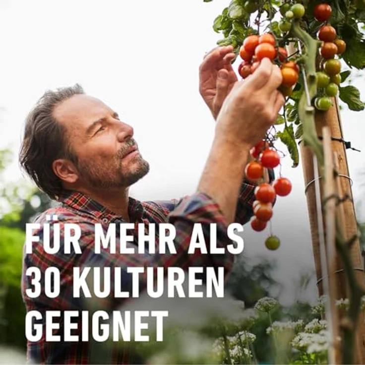 COMPO Duaxo Universal Pilz-frei 75ml – Bild 6