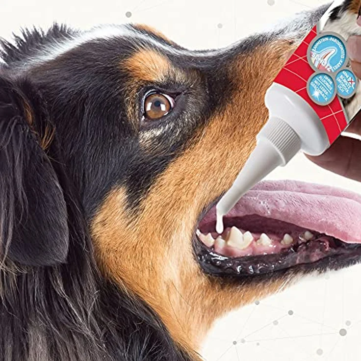 Beaphar Zahn-Gel für Haustiere, 200 g, mit Enzymwirkung zur Plaque- und Zahnsteinbekämpfung, leckerer Lebergeschmack, geeignet für Hunde und Katzen – Bild 4