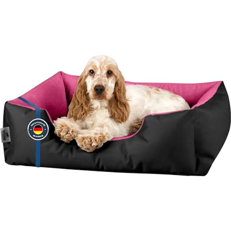 hundeleine name Hundeleine mit Namen Royal Blue – Charlie & Jones main image 1