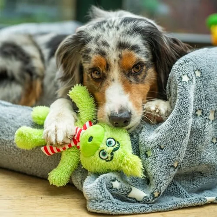 Nobby Tierkuscheltier "Grimo" Weihnachtliches Plüschtier mit Knisterkörper – Bild 3