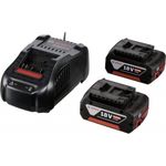 Bosch Professional 2 x Werkzeugakku 18 V / 5,0 Ah Ladegerät, Starter-Set