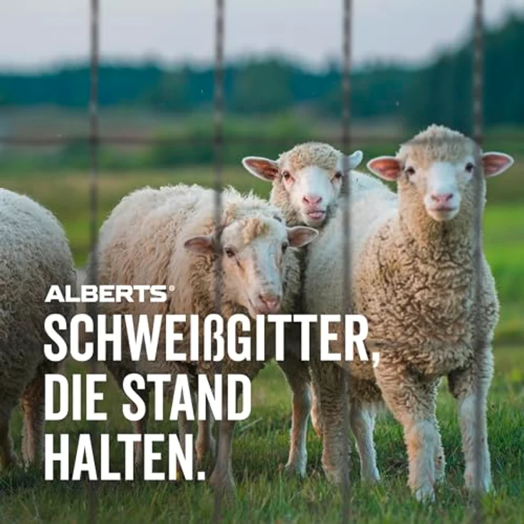 Alberts Fix-Clip Pro Schweißgitter, Höhe 81 cm, Länge 25 m, anthrazit, Maschen 50 x 100 mm, Draht-Ø 2,2 mm – Bild 12