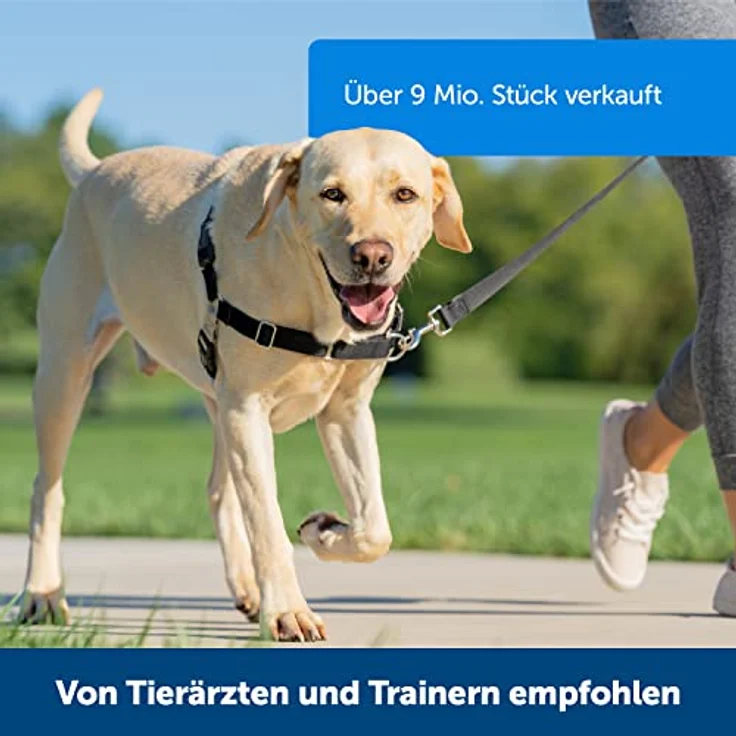 PetSafe Easy Walk-Geschirr, Anti-Zieh-Hundegeschirr, Verringert Würgen und Husten, Mit 1,8 M Leine, Größe M, Schwarz – Bild 3