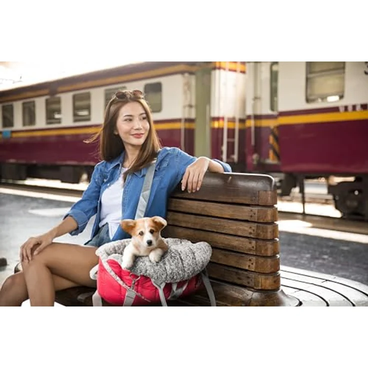 DOGGY Hundetasche, Tragetuch, Tragetasche, Transportbox, Höhenverstellbar, Reise, 38x24x28 cm, Himbeer – Bild 3
