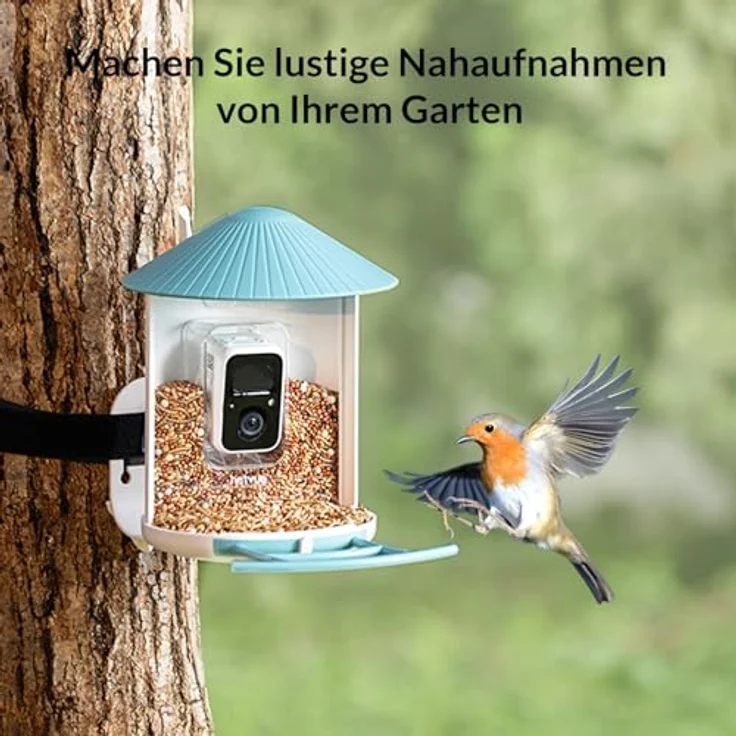 NETVUE Birdfy Vogelhaus mit Kamera, Vogelfutterstation, Futterstationen für Wildvögel, Vogelfutterhaus mit 1080P Kamera Video Aufnehmen, Vogelfutterspender Kamera Vögel Erkennung (Birdfy Lite+Solar) - Preisvergleich – Bild 4