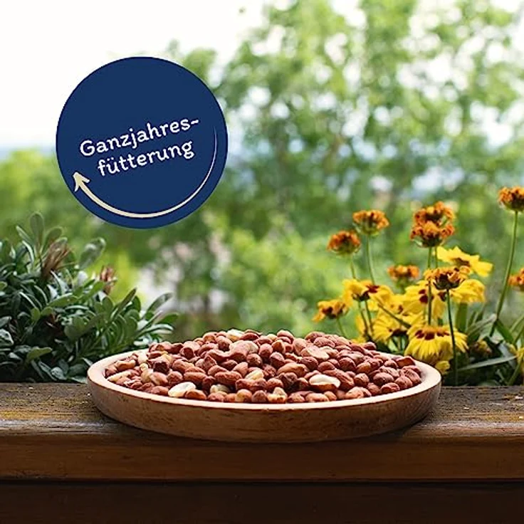 Lyra Pet® | 10 kg Erdnusskerne mit Haut | Vogelfutter für das Ganze Jahr | Naturbelassenes Streufutter | Energiequelle für Wildvögel | Erdnüsse ohne Schale | Proteinreich & Ölhaltig | Gartenvögel – Bild 3