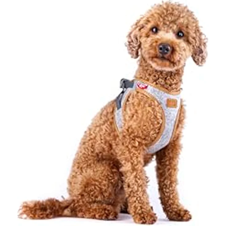 Curli Alpine curli Clasp Vest Harness, ergonomisches Hundegeschirr für kleine bis mittelgroße Hunde, Light Gray, Größe M – Bild 3