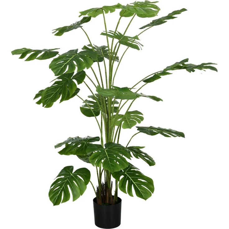 monstera starkzehrer Monstera 'Devil Monster' XXL main image 0